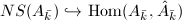 $NS(A_{\bar k})\hookrightarrow \Hom(A_{\bar k},\hat A_{\bar k})$