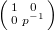 $
\left(\begin{smallmatrix}
  1 & 0 \\
  0 & p^{-1}
\end{smallmatrix}\right)$