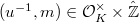 $(u^{-1},m)\in \mathcal{O}_K^\times\times \hat{\mathbb{Z}}$