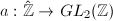 $a: \hat{\mathbb{Z}}\rightarrow GL_2(\mathbb{Z})$