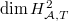 $\dim H_{\mathcal{A},T}^2$