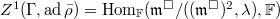 $Z^1(\Gamma,\ad\bar\rho)=\Hom_\mathbb{F}(\mathfrak{m}^\Box/((\mathfrak{m}^\Box)^2,\lambda),\mathbb{F})$