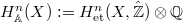 $H_\mathbb{A}^n(X):=H^n_\mathrm{et}(X,\hat{\mathbb{Z}})\otimes \mathbb{Q}$