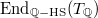 $\End_{\mathbb{Q}-\mathrm{HS}}(T_\mathbb{Q})$