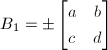 $B_1=\pm
\begin{bmatrix}
a & b \\
c & d
\end{bmatrix}$