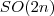 SO(2n)