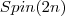 Spin(2n)