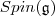 Spin(\mathfrak g)