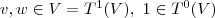 v,w\in V=T^1(V),\ 1\in T^0(V)