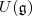 U(\mathfrak g)