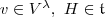 v\in V^\lambda,\ H\in \mathfrak t