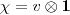 \chi=v\otimes\mathbf 1