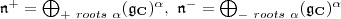 \mathfrak n^+=\bigoplus_{+\ roots\ \alpha}(\mathfrak g_{\mathbf C})^\alpha,\ \mathfrak n^-=\bigoplus_{-\ roots\  \alpha}(\mathfrak g_{\mathbf C})^\alpha