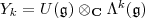 Y_k=U(\mathfrak g)\otimes_{\mathbf C}\Lambda^k(\mathfrak g) Y_k=U(\mathfrak g)\otimes_{\mathbf C}\Lambda^k(\mathfrak g)