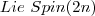 Lie\ Spin(2n)