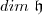 dim\ \mathfrak h