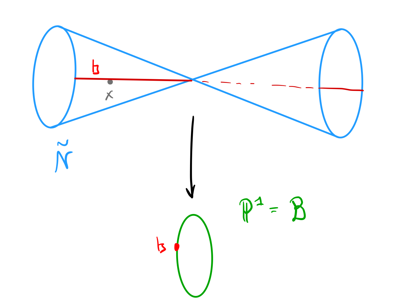 Springer Theory