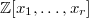 $\mathbb{Z}[x_1,\ldots,x_r]$