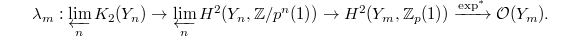 $$\lambda_m: \varprojlim_n K_2(Y_n)\rightarrow\varprojlim_{n}H^2(Y_n, \mathbb{Z}/p^n(1))\rightarrow H^2(Y_m, \mathbb{Z}_p(1))\xrightarrow{\exp^*}\mathcal{O}(Y_m).$$