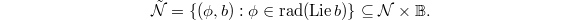 $$\tilde{\mathcal{N}}=\{(\phi,b): \phi\in\rad(\Lie b)\}\subseteq \mathcal{N}\times \mathbb{B}.$$