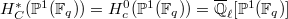 $H_C^*(\mathbb{P}^1(\mathbb{F}_q))=H_c^0(\mathbb{P}^1(\mathbb{F}_q))=\overline{\mathbb{Q}}_\ell[\mathbb{P}^1(\mathbb{F}_q)]$