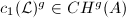 $c_1(\mathcal{L})^g\in CH^g(A)$