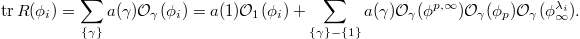 $$\tr R(\phi_i)=\sum_{\{\gamma\}}a(\gamma)\mathcal{O}_\gamma(\phi_i)=a(1)\mathcal{O}_1(\phi_i)+\sum_{\{\gamma\}-\{1\}}a(\gamma)\mathcal{O}_\gamma(\phi^{p,\infty})\mathcal{O}_\gamma(\phi_p)\mathcal{O}_\gamma(\phi^{\lambda_i}_\infty).$$