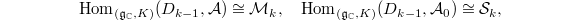 $$\Hom_{(\mathfrak{g}_\mathbb{C},K)}(D_{k-1},\mathcal{A})\cong \mathcal{M}_k,\quad \Hom_{(\mathfrak{g}_\mathbb{C},K)}(D_{k-1},\mathcal{A}_0)\cong \mathcal{S}_k,$$