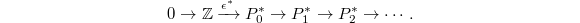 $$0\rightarrow \mathbb{Z}\xrightarrow{\epsilon^*}P_0^*\rightarrow P_1^*\rightarrow P_2^*\rightarrow\cdots.$$