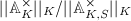 $||\mathbb{A}_K^\times||_K/||\mathbb{A}_{K,S}^\times||_K$