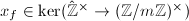 $x_f\in \ker(\hat{\mathbb{Z}}^\times\rightarrow(\mathbb{Z}/m \mathbb{Z})^\times)$