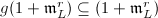 $g(1+\mathfrak{m}_L^r)\subseteq (1+\mathfrak{m}_L^r)$