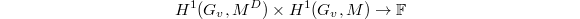 $$H^1(G_v, M^D)\times H^1(G_v,M)\rightarrow\mathbb{F}$$