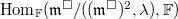 $\Hom_\mathbb{F}(\mathfrak{m}^\Box/((\mathfrak{m}^\Box)^2,\lambda),\mathbb{F})$