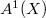 $A^1(X)$