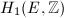 $H_1(E,\mathbb{Z})$