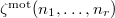 $\zeta^\mathrm{mot}(n_1,\ldots,n_r)$