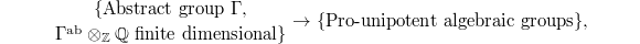 $${\{\text{Abstract group }\Gamma,\atop \Gamma^\mathrm{ab} \otimes_\mathbb{Z} \mathbb{Q}\text{ finite dimensional}\}}\rightarrow \{\text{Pro-unipotent algebraic groups}\},$$