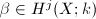 $\beta\in H^j(X;k)$