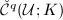 $\check{\mathcal{C}}^q(\mathcal{U};K)$