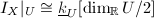 $I_X|_{U}\cong\underline{k}_U[\dim_\mathbb{R} U/2]$