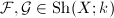 $\mathcal{F}, \mathcal{G}\in\mathrm{Sh}(X;k)$