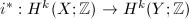 $i^*: H^k(X;\mathbb{Z})\rightarrow H^k(Y;\mathbb{Z})$