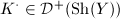 $K^\cdot\in \mathcal{D}^+(\mathrm{Sh}(Y))$