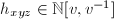 $h_{xyz}\in \mathbb{N}[v,v^{-1}]$
