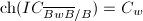 $\mathrm{ch}(IC_{\overline{BwB}/B})=C_w$
