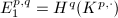 $E_1^{p,q}=H^q(K^{p,\cdot})$