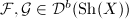 $\mathcal{F},\mathcal{G}\in \mathcal{D}^b(\mathrm{Sh}(X))$