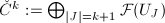 $\check C^k:=\bigoplus_{|J|=k+1} \mathcal{F}(U_J)$