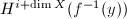 $H^{i+\dim X}(f^{-1}(y))$